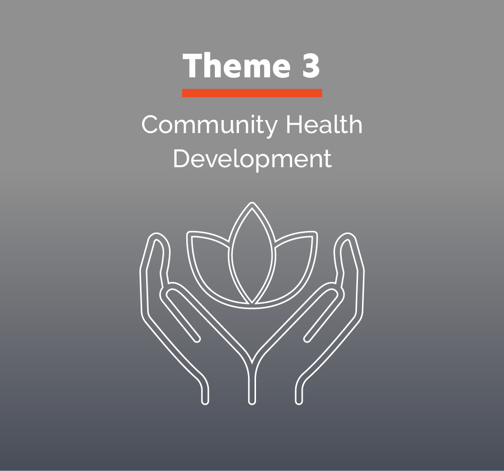 Theme 3: Community Health Development